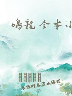 鸣龙 全本小说