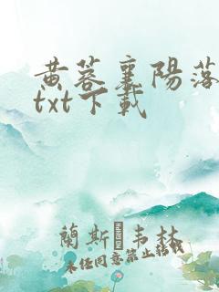黄蓉襄阳落难记txt下载