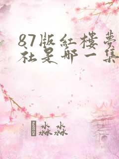 87版红楼梦诗社是哪一集