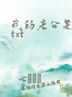 我的老公是军阀txt