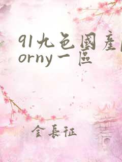 91九色国产porny一区