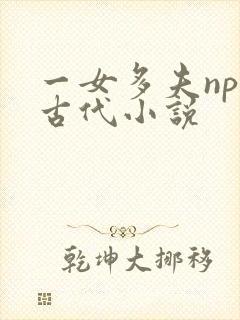 一女多夫np的古代小说