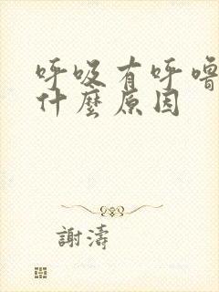 呼吸有呼噜声是什么原因