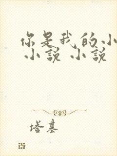 你是我的小确幸 小说 小说