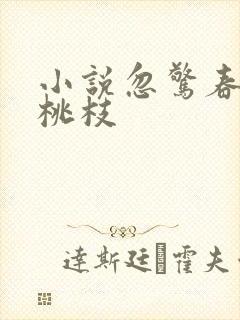 小说忽惊春到小桃枝