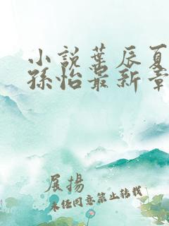 小说叶辰夏若雪孙怡最新章节