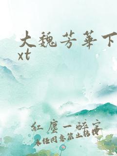 大魏芳华下载txt