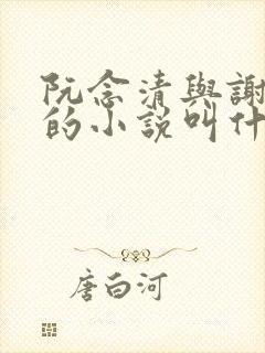 阮念清与谢存旭的小说叫什么