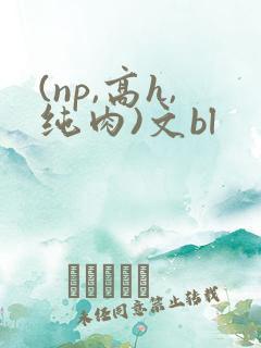 (np,高h,纯肉)文bl