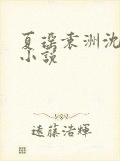 夏瑶袁洲沈凉音小说