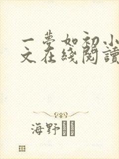 一梦如初小说全文在线阅读