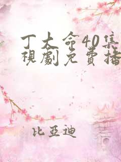 丁大命40集电视剧免费播放丁大