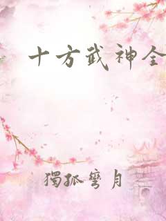 十方武神全书