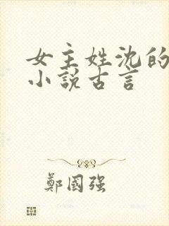 女主姓沈的重生小说古言