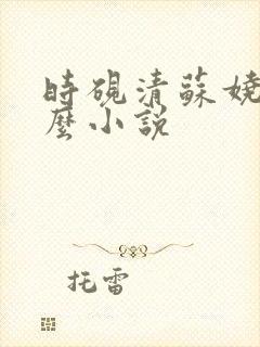 时砚清苏娆是什么小说