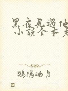 黑夜见过他深情 小说全本免费阅读