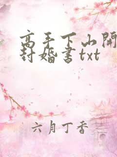 高手下山开局九封婚书txt