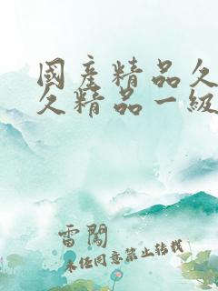 国产精品久久久久精品一级a