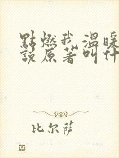 点燃我温暖你小说原著叫什么