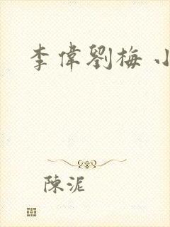 李伟刘梅 小说