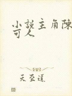 小说主角陈南朱可人