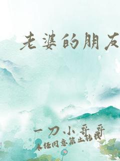 老婆的朋友中字