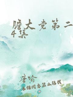 胆大党第二季第4集
