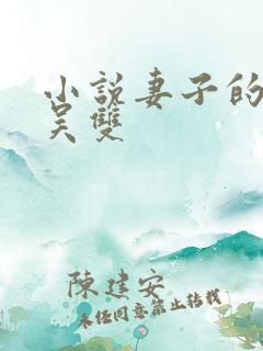 小说妻子的秘密吴双