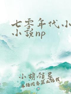 七零年代小寡妇小说np