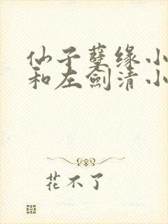 仙子孽缘小龙女和左剑清小说