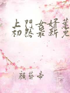 上门女婿叶辰萧初然最新免费阅读