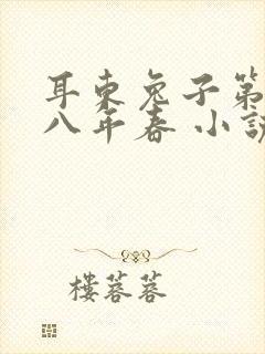 耳东兔子第二十八年春 小说