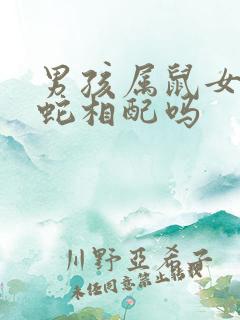 男孩属鼠女孩属蛇相配吗