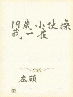 19岁小伙操了我一夜