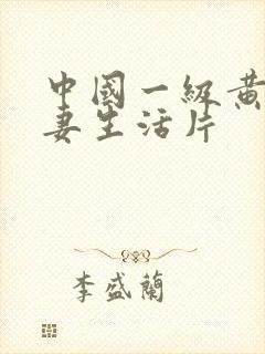 中国一级黄色夫妻生活片