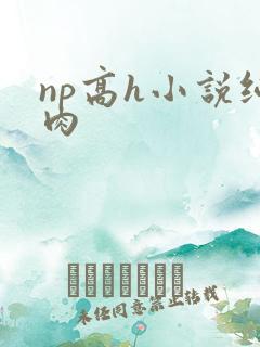 np高h小说纯肉