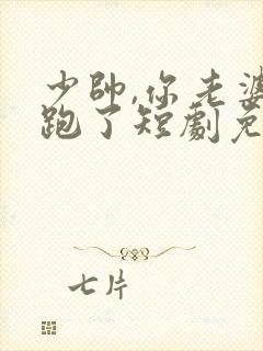 少帅,你老婆又跑了短剧免费大结局