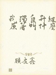 我独自升级小说原著叫什么