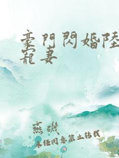 豪门闪婚陆少的宠妻