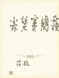 小说官场奇才李霖免费阅读