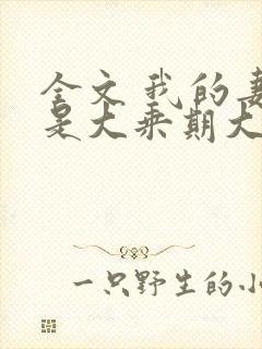 全文 我的妻子是大乘期大佬