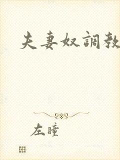 夫妻奴调教小说