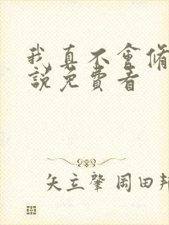 我真不会修仙小说免费看