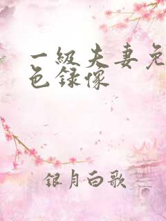 一级夫妻免费黄色录像