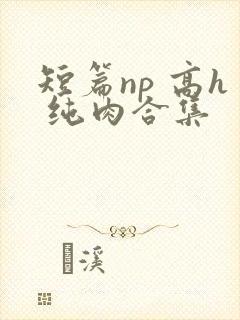 短篇np 高h 纯肉合集