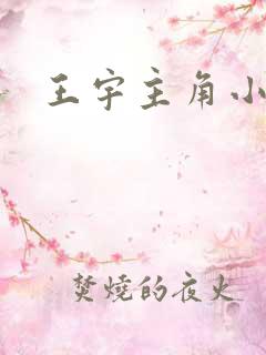 王宇主角小说