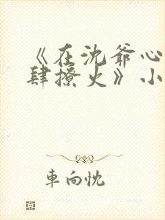 《在沈爷心尖放肆撩火》小说