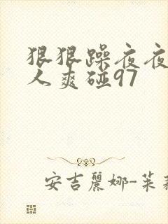 狠狠躁夜夜躁人人爽碰97