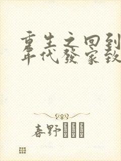 重生之回到八十年代发家致富 小说