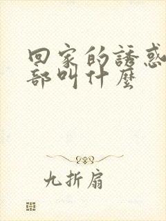 回家的诱惑第二部叫什么